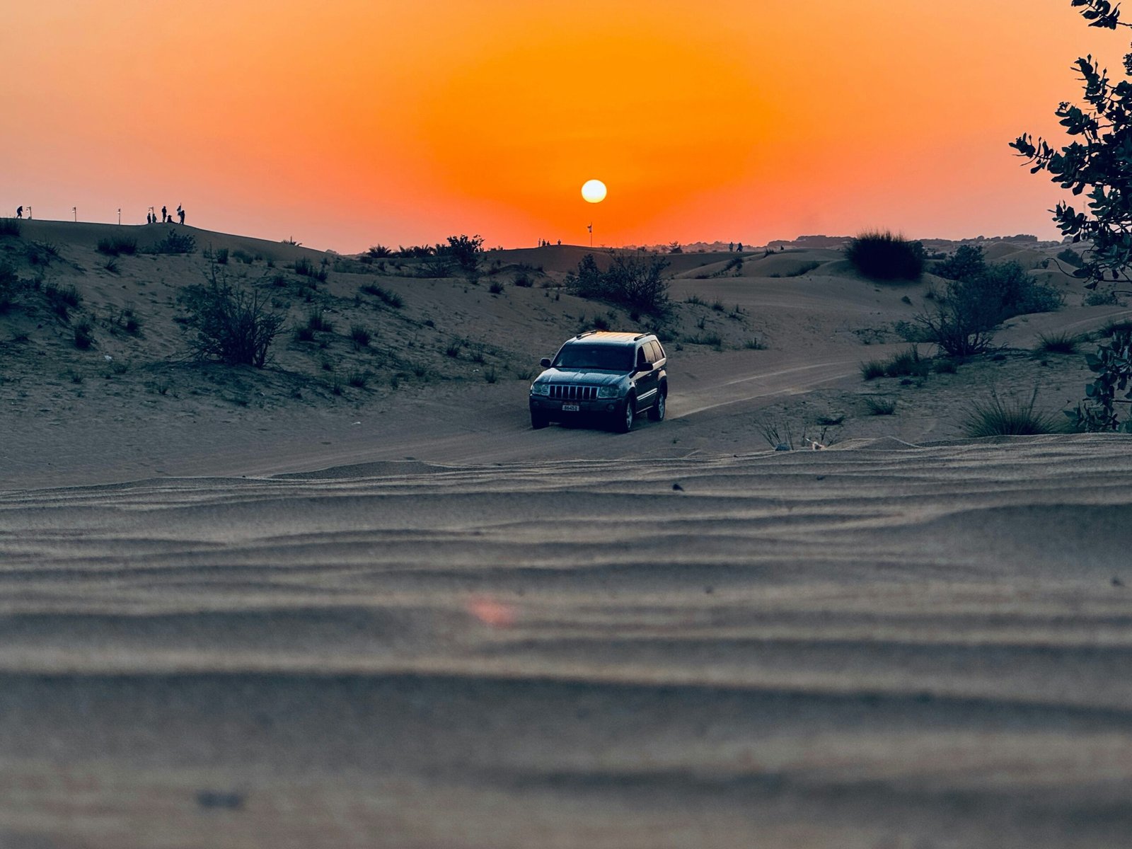 A line of jeeps driving through sandy dunes during sunset