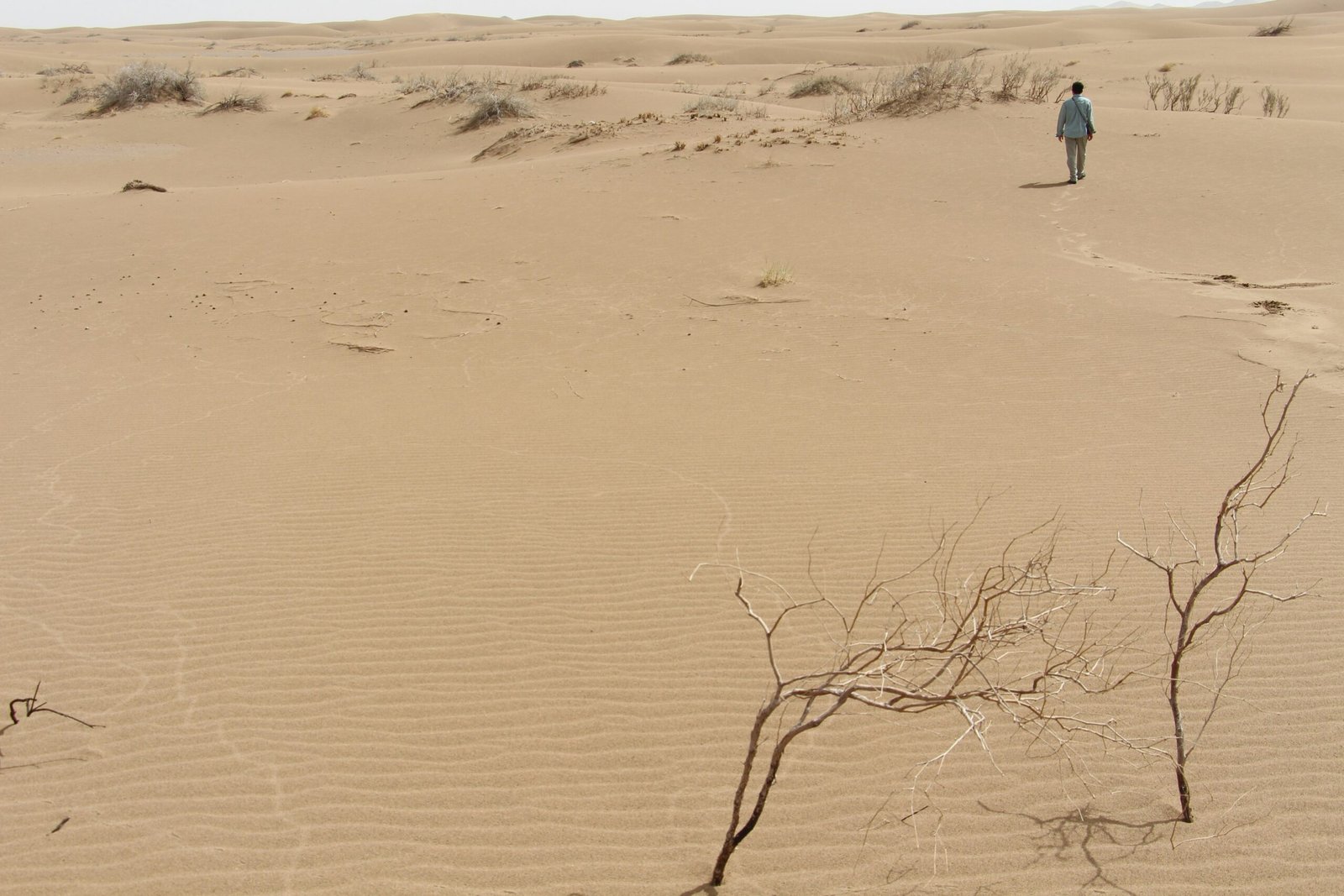 A local desert guide explaining dune formations