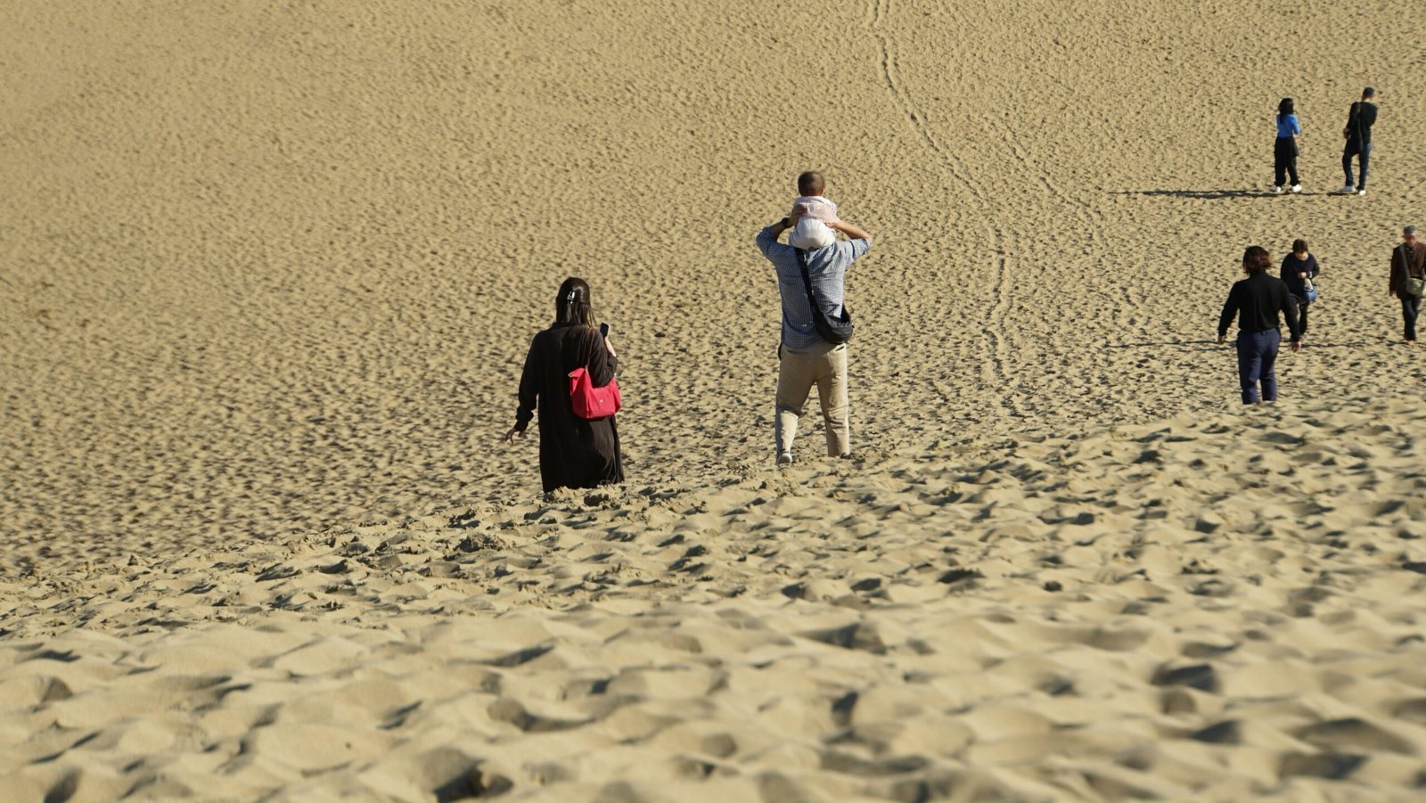 A local nomad guiding tourists across golden dunes