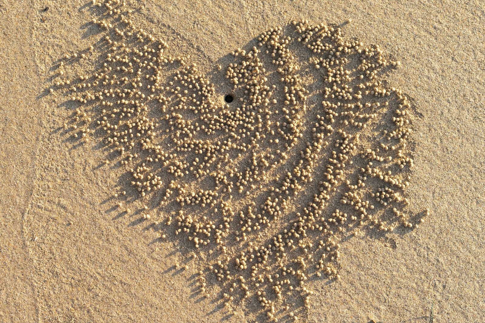 A stick drawing a basic heart shape on dampened sand