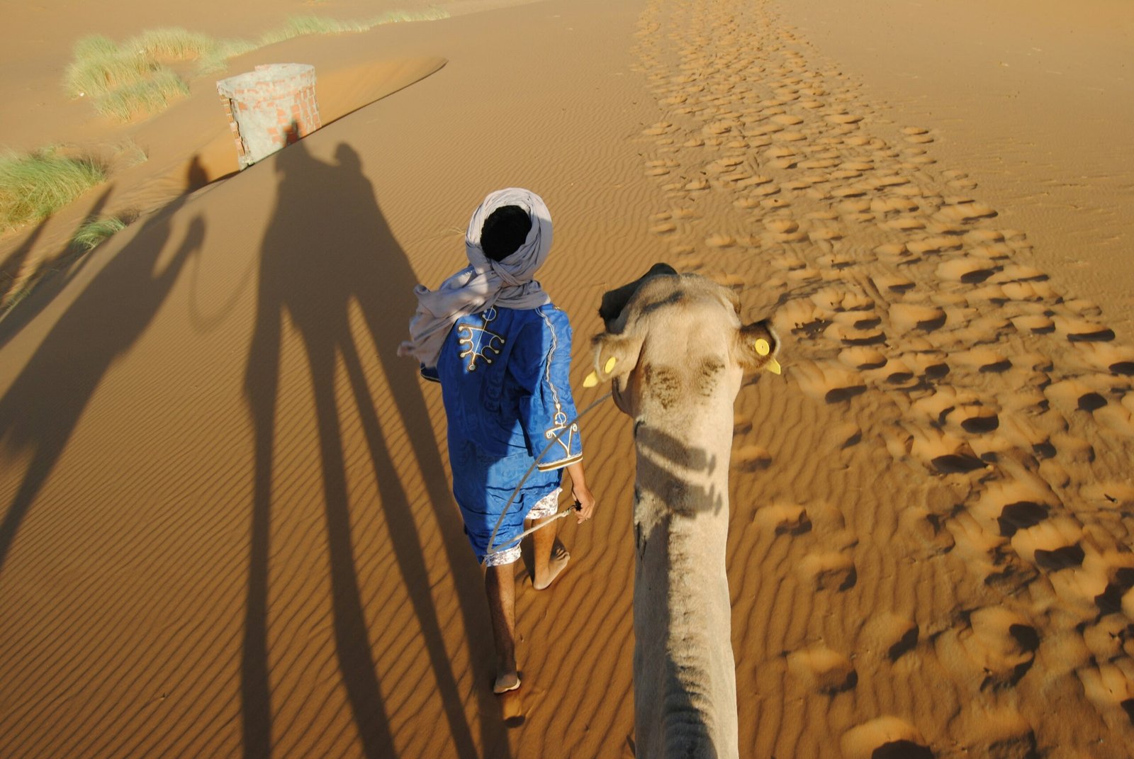 A woman applying sunscreen near a dune with a camel silhouette in the background