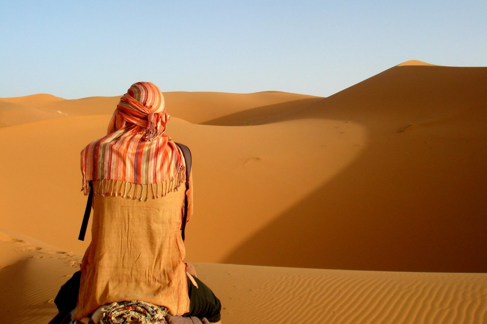 Camel trekking during sunset on golden sand dunes