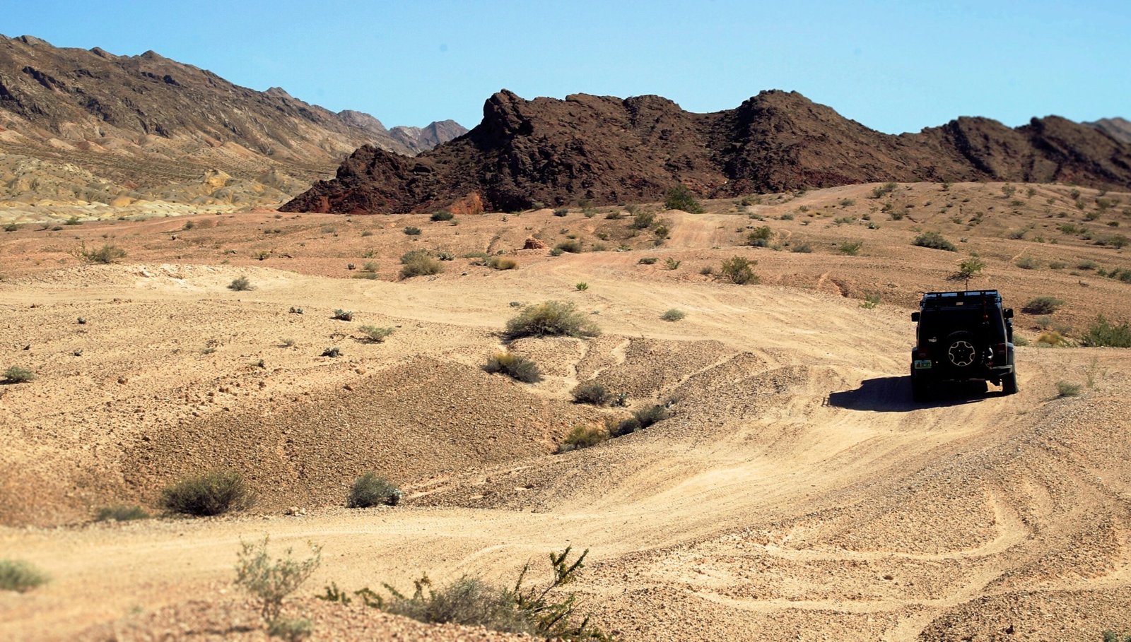 Desert ecosystem showing signs of degradation due to human activity