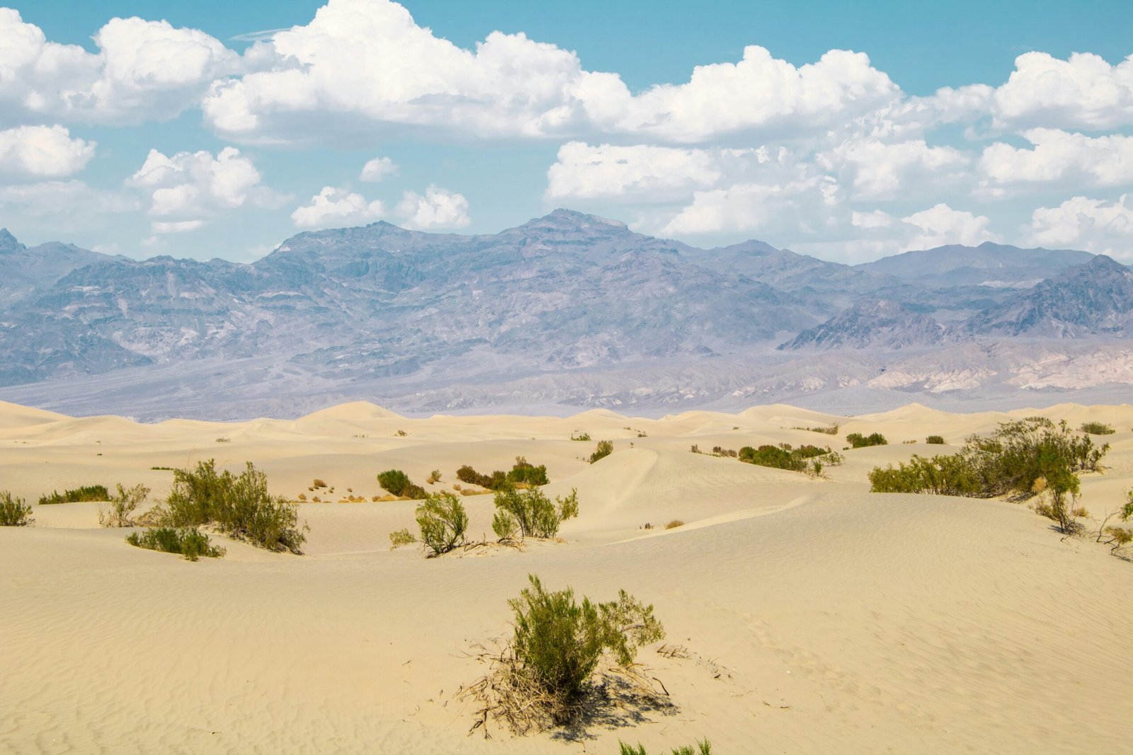 desert safari adventure