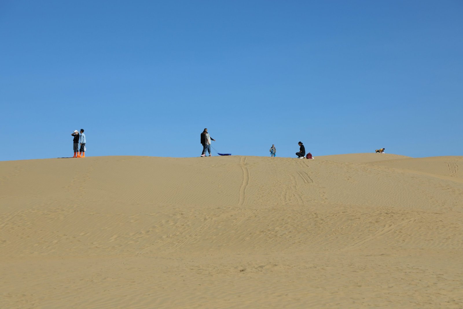 desert safari adventure