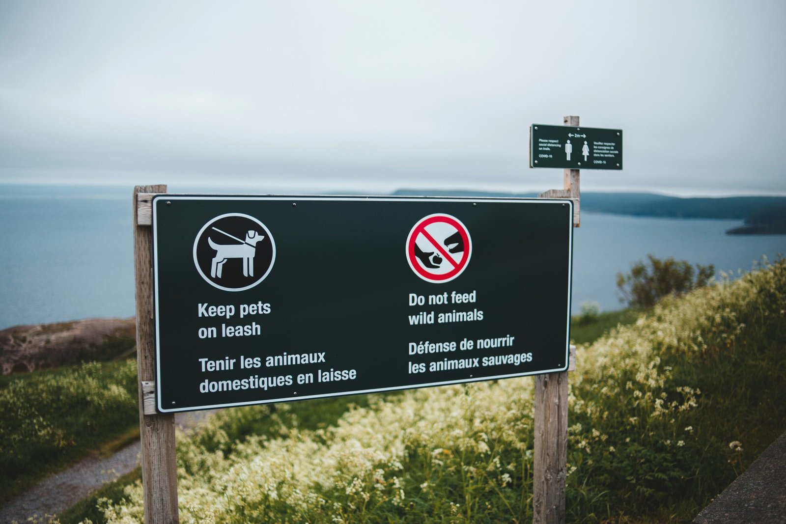 desert safari adventure