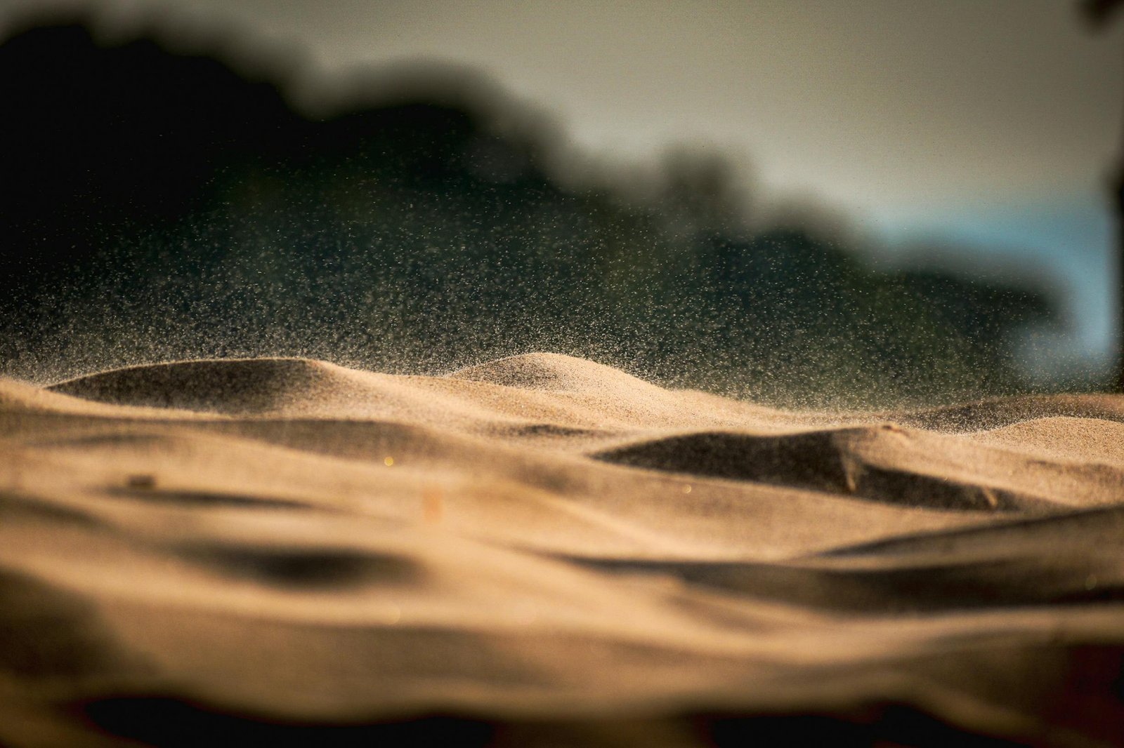 Golden desert dunes with sunlight reflecting off sand particles