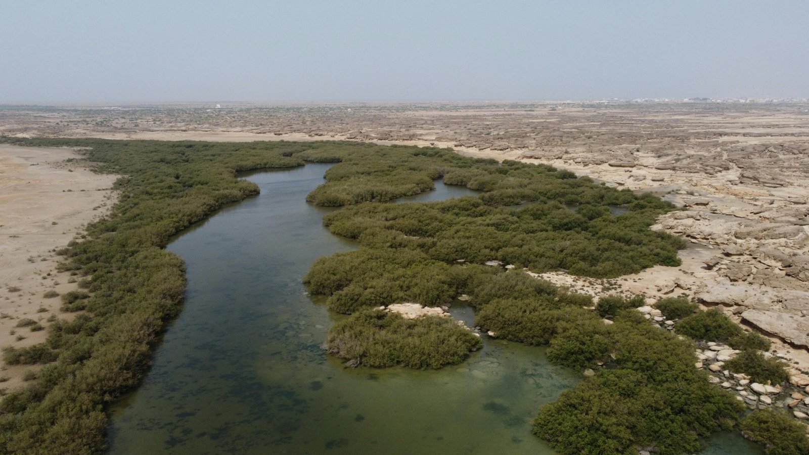 Lush green oasis surrounded by vast desert landscape