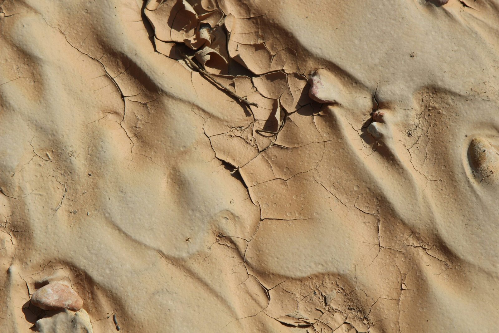 Map showing different dune trails used by tour operators