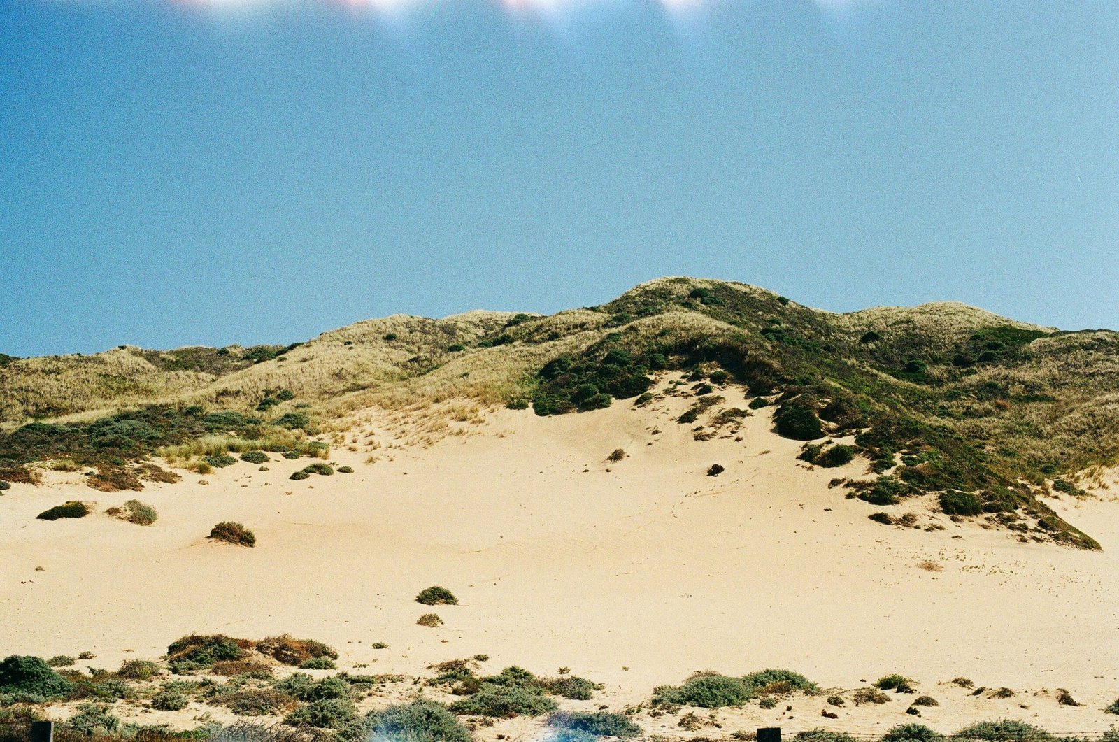 sand dunes at sunset