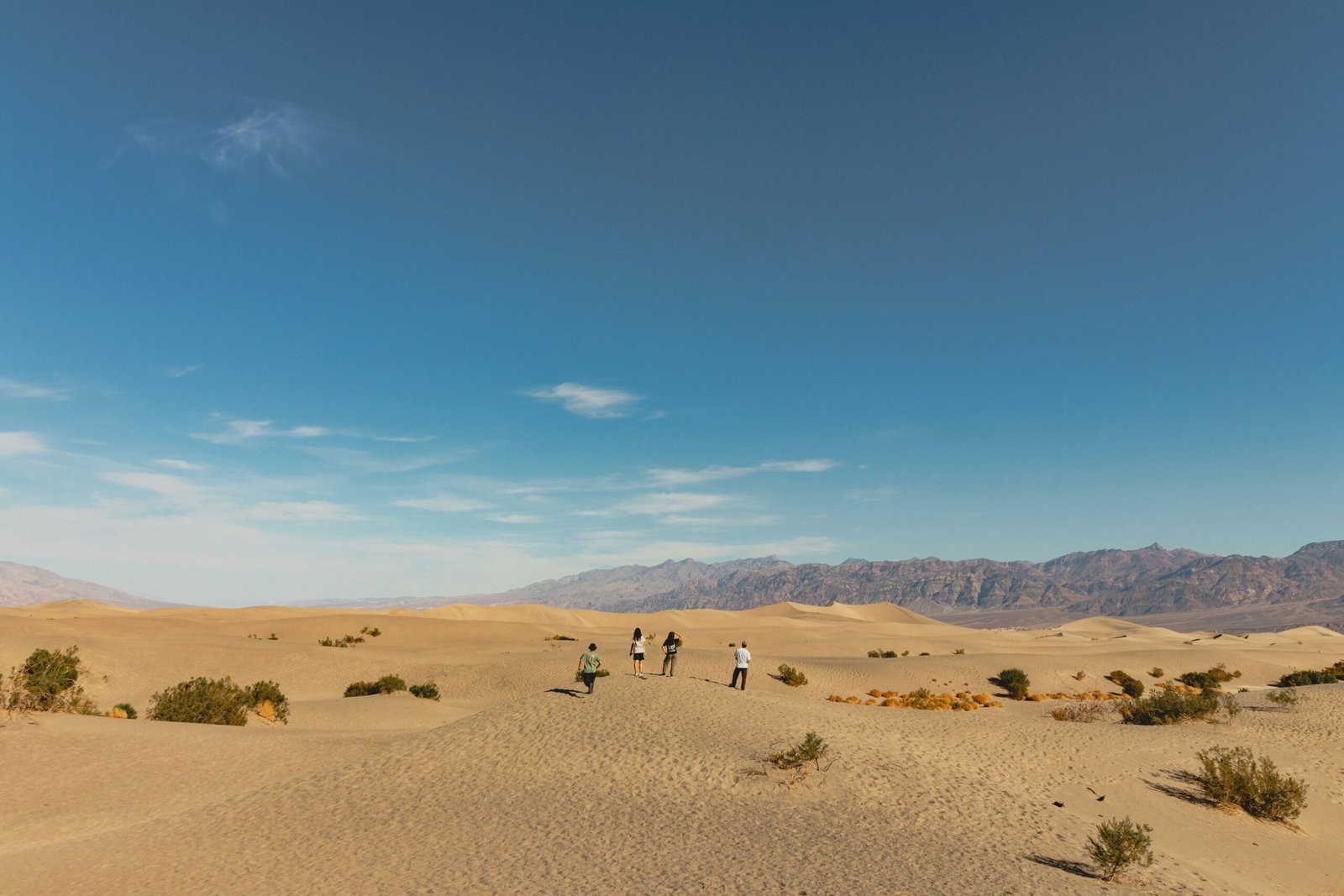 Two travelers standing atop tall dunes overlooking a glowing sunset