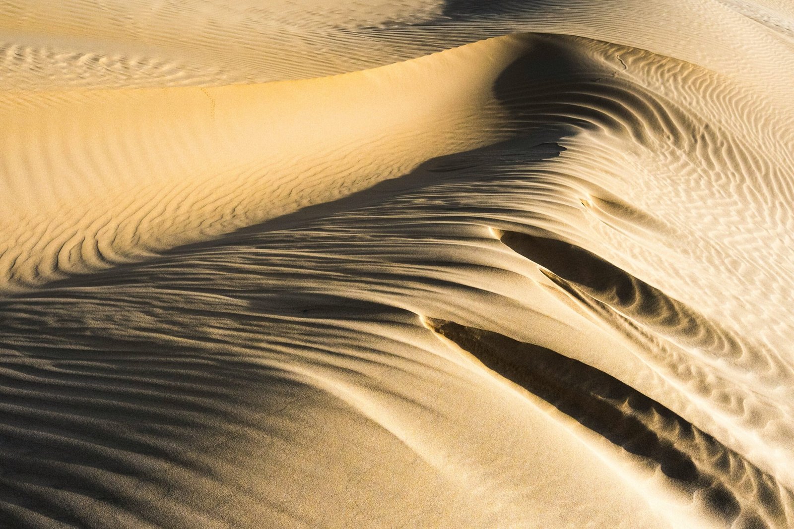 Golden dunes glowing under sunlight with faint footprints