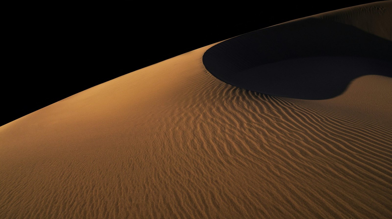 Golden sand dunes in the Sahara during sunset
