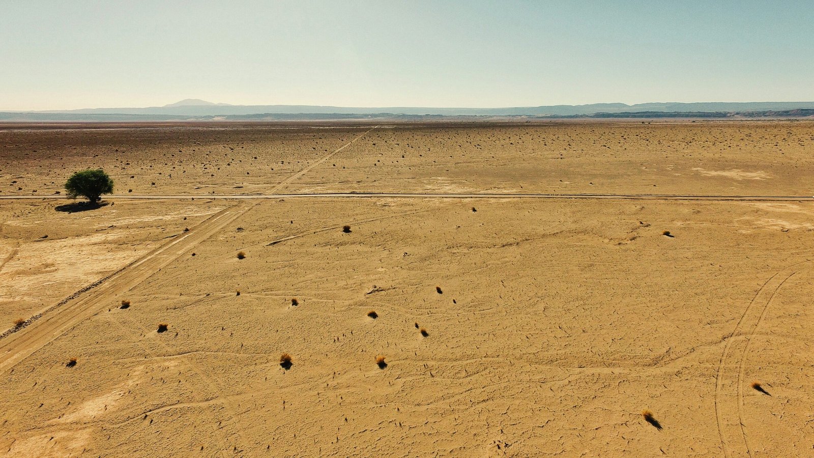 Golden sand dunes under a blue sky with camels walking along the horizon
