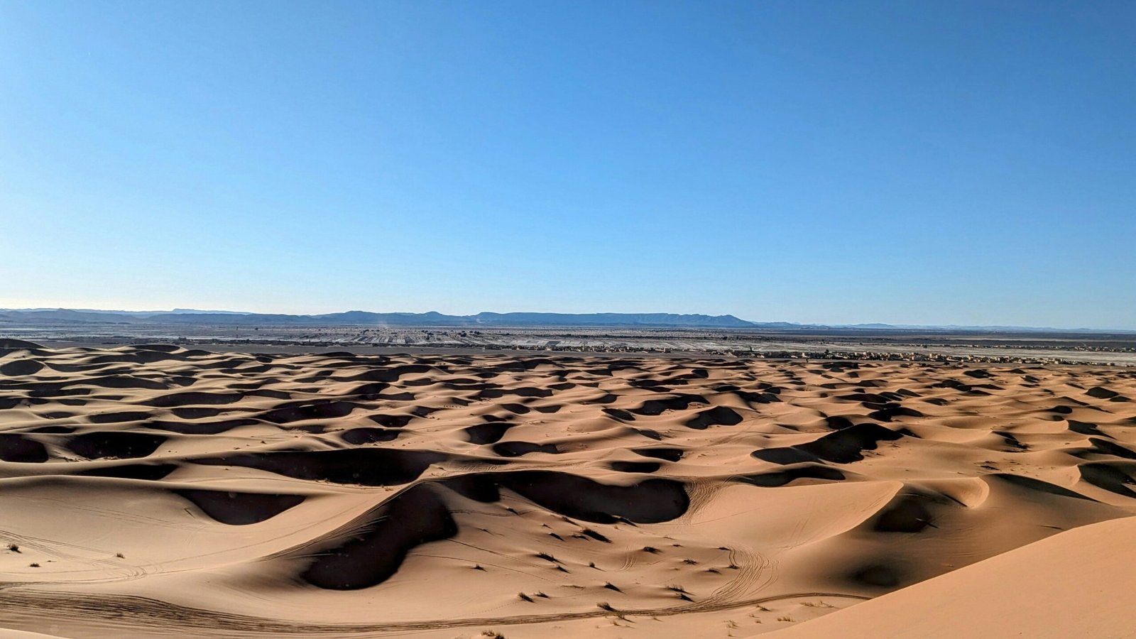 Group of tourists smiling while sitting in open-top jeeps driving towards desert sunset