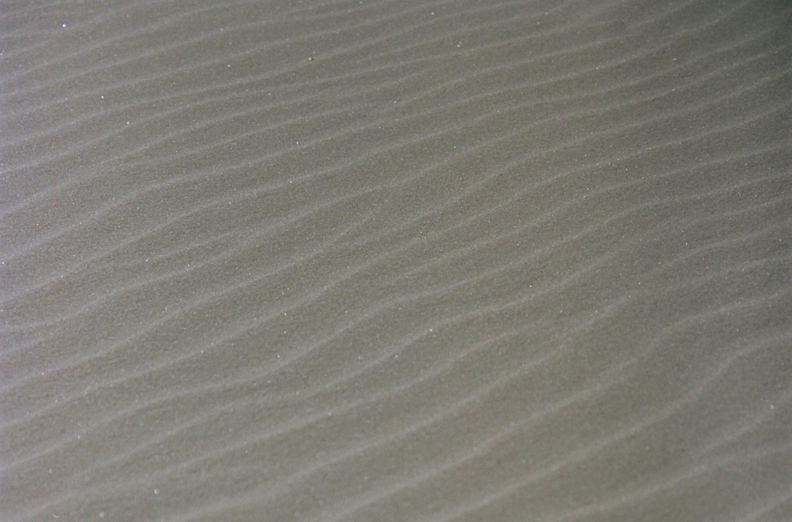 Quad Bike Desert Ride: Your Ultimate Guide to Thrilling Adventures