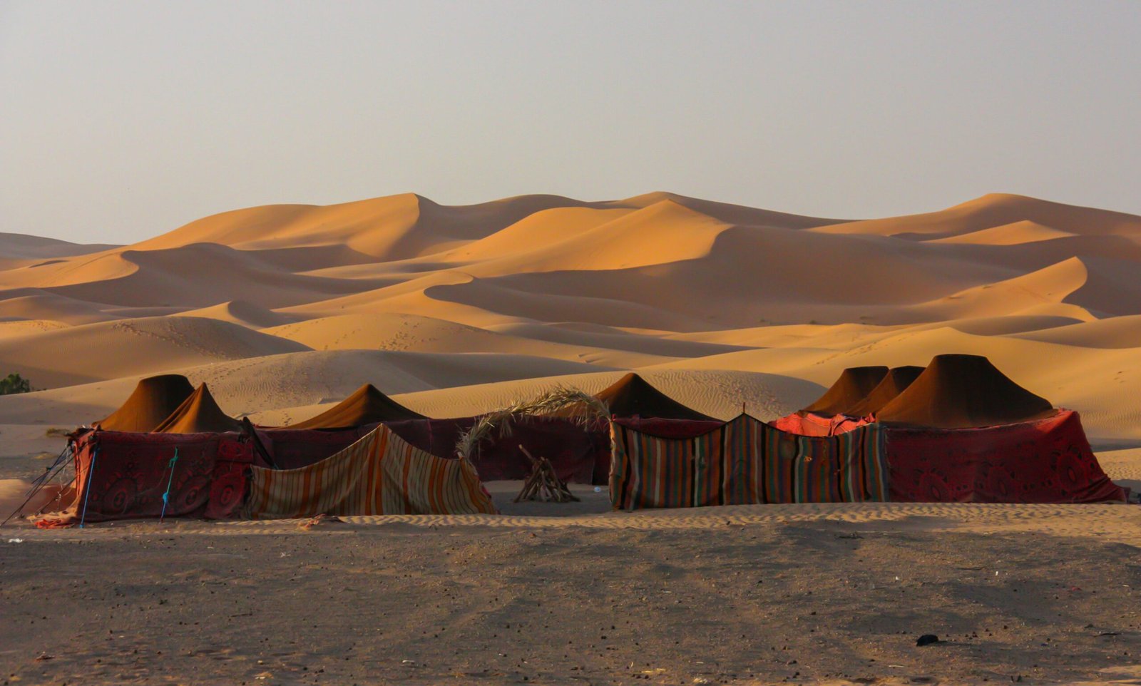 Starry night sky over the Sahara Desert with silhouettes of camel riders.