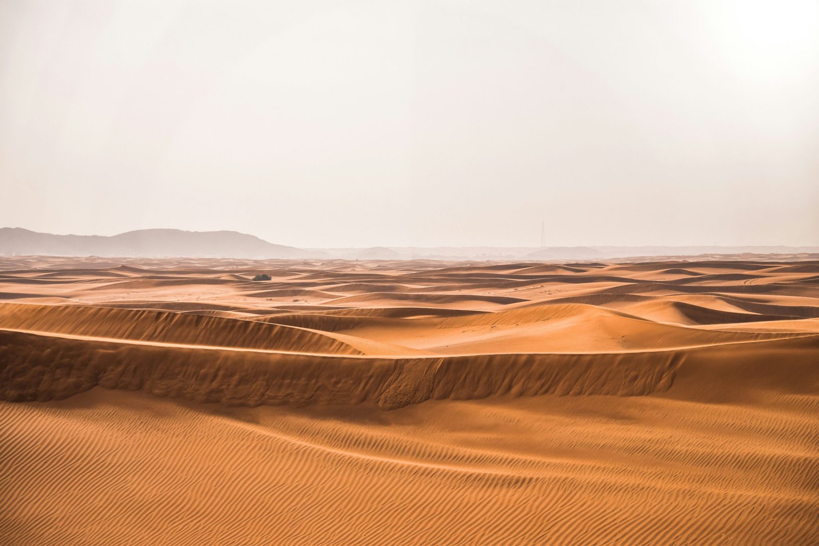 Tourists enjoying a camel ride near sand dunes