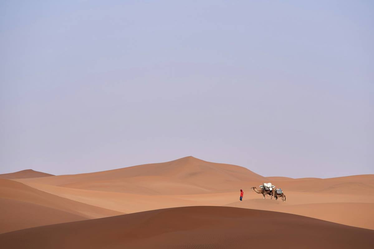 A line of camels walking through the desert with riders wearing colorful scarves.