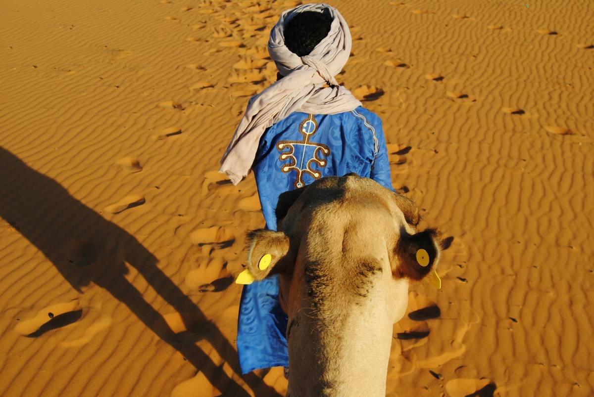 A panoramic view of rolling sand dunes at sunset in the Moroccan Sahara