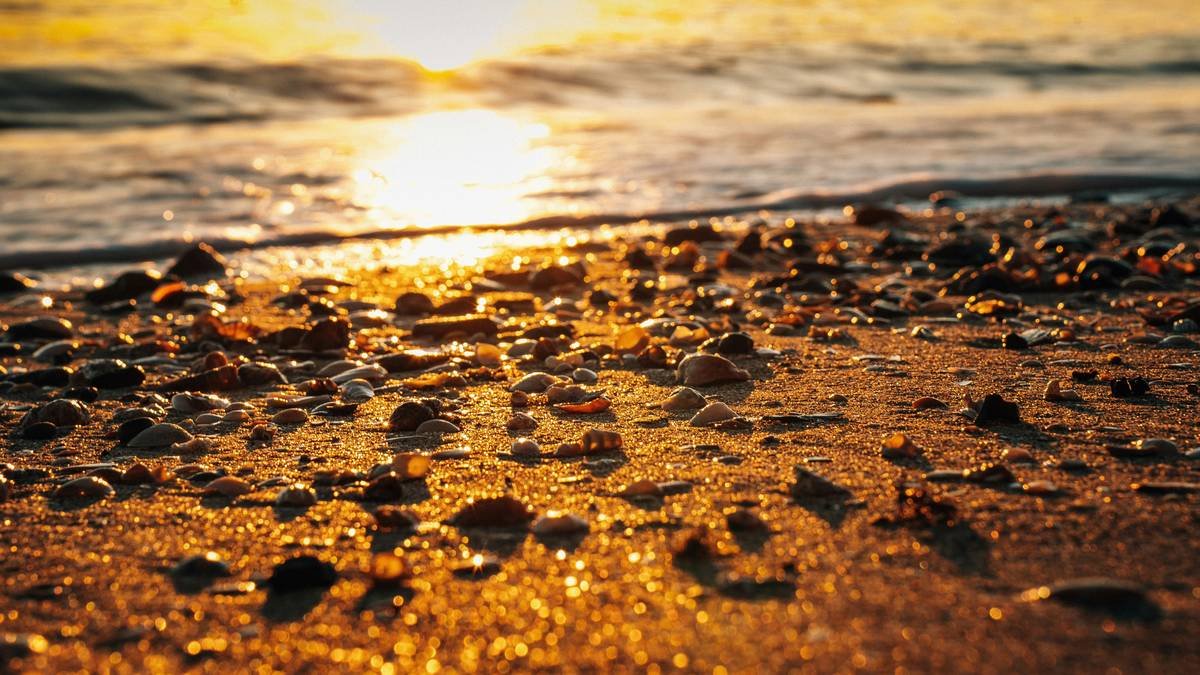 Bioluminescent plankton creating an ethereal glow along a desert shoreline at dusk