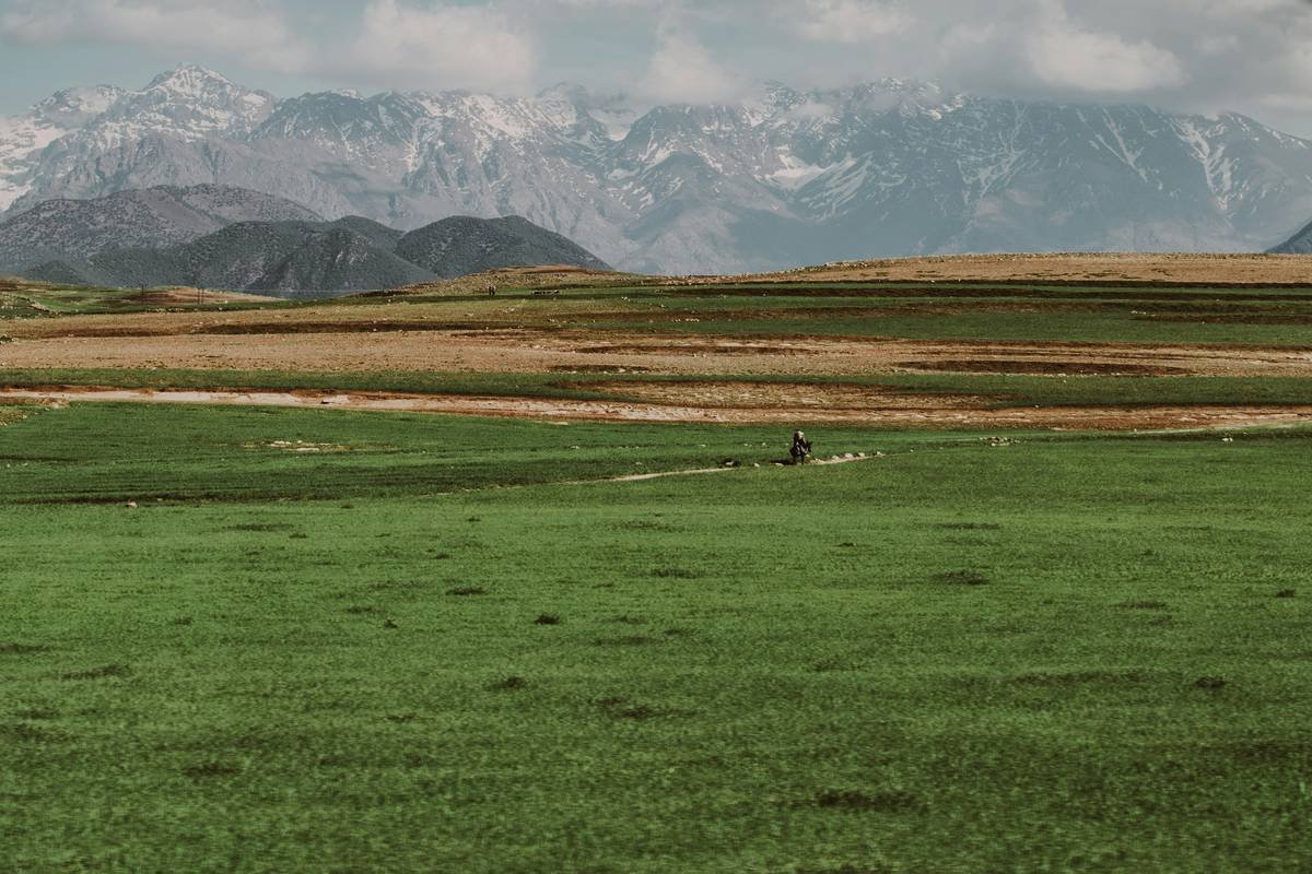 Desert Stars Sahara: Your Ultimate Guide to an Unforgettable Desert Safari Experience