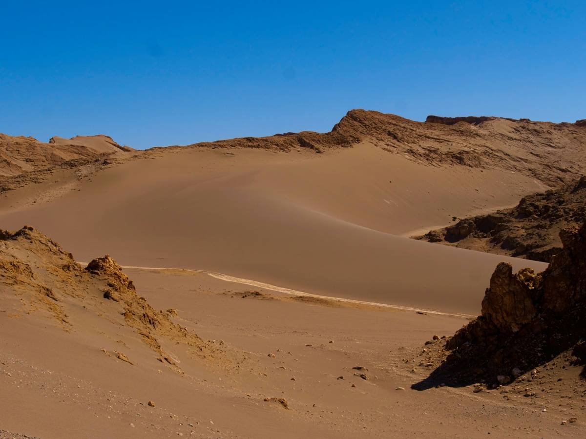 Golden ancient sand dunes stretching endlessly into the horizon
