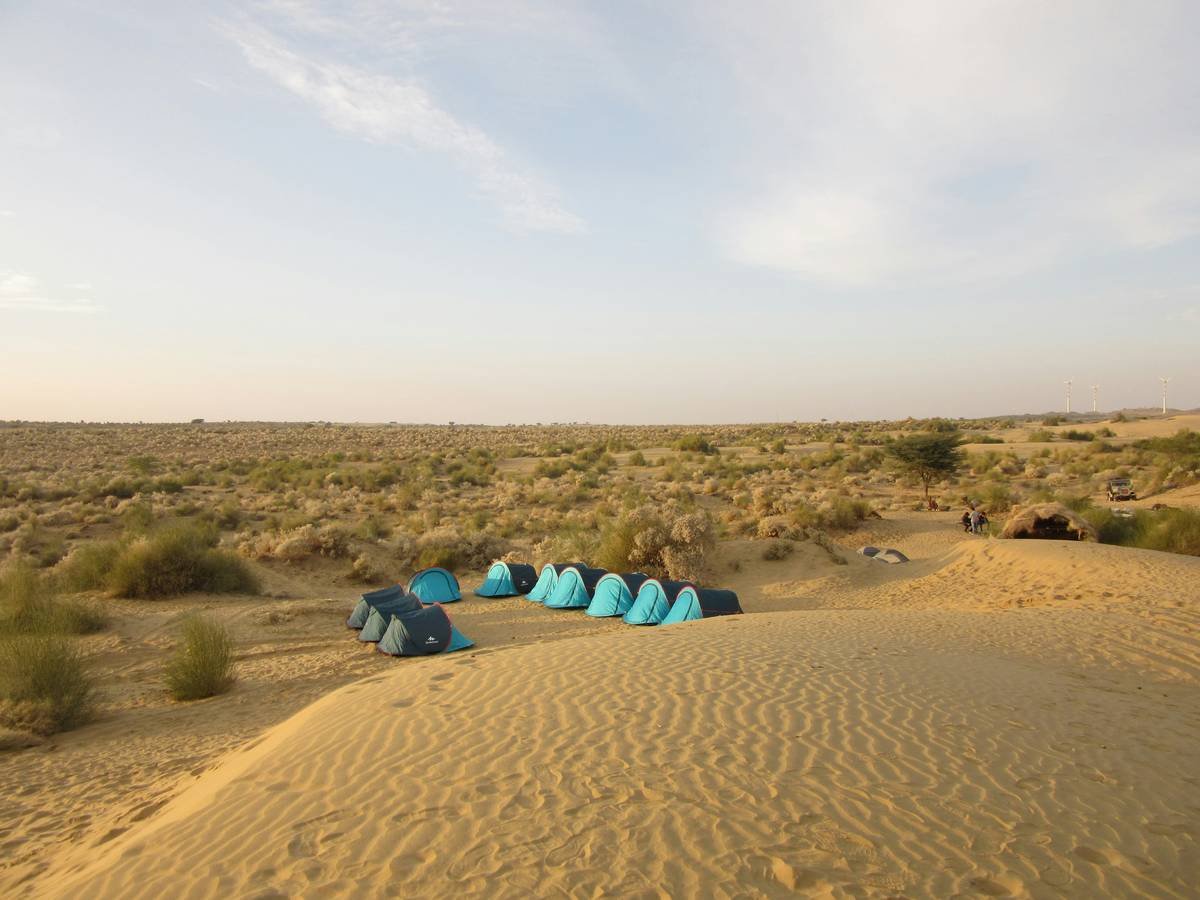 Golden sand dunes stretching across the horizon at sunset.