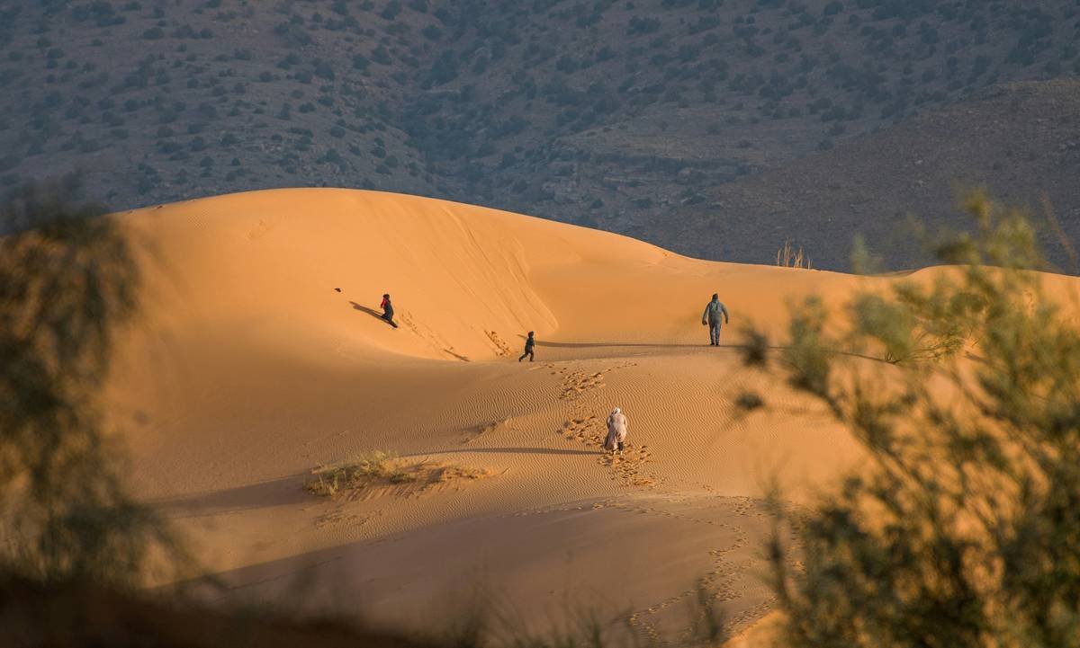 Happy family on a camel ride during sunset