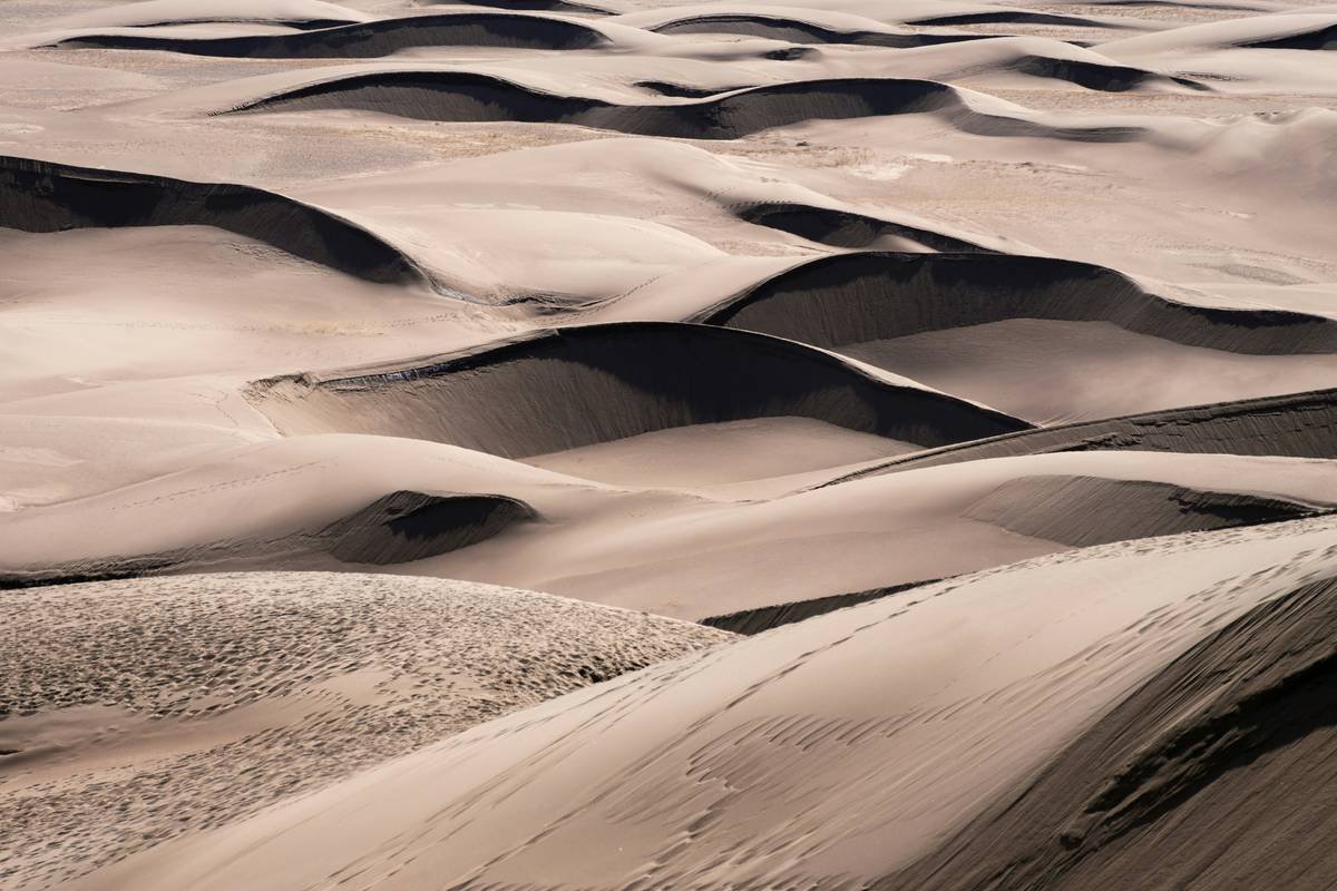 Luxury Dune Adventure: The Ultimate Desert Safari Experience