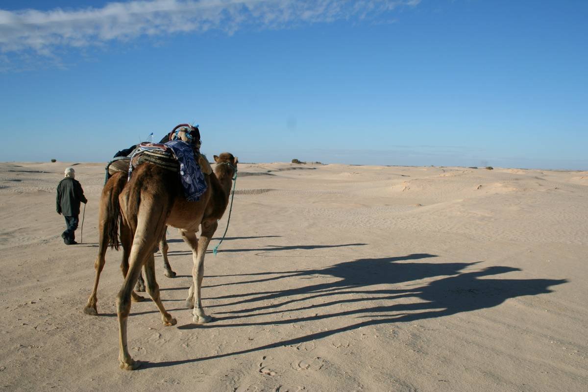 Person holding a backpack filled with essentials for a desert safari