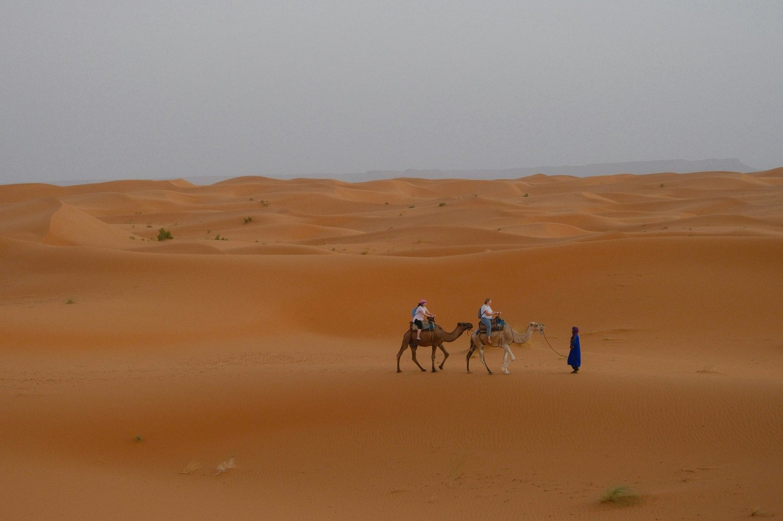 Sand Landscapes Exploration: Why Desert Safaris Are the Ultimate Adventure