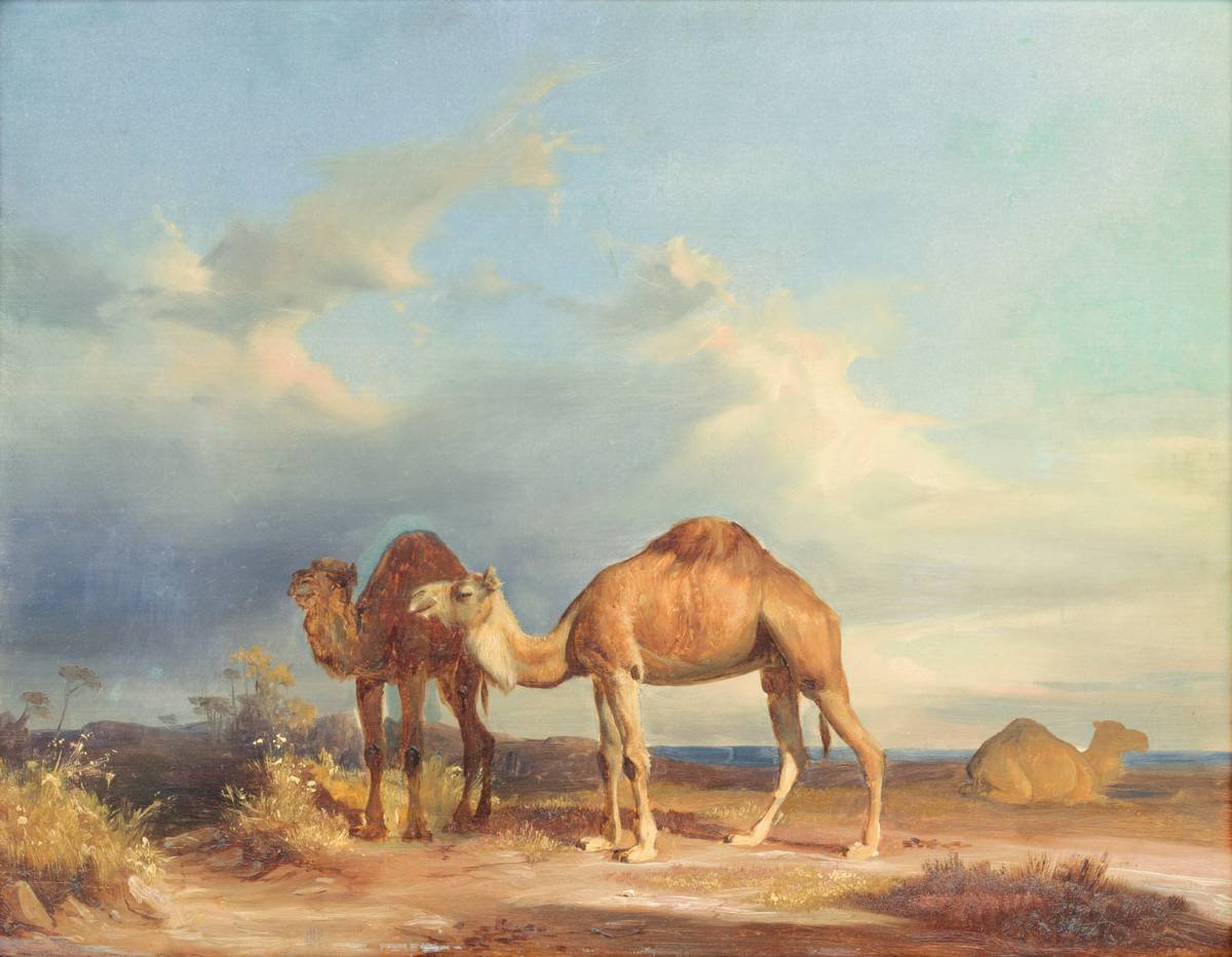 Sunset over the Sahara Desert