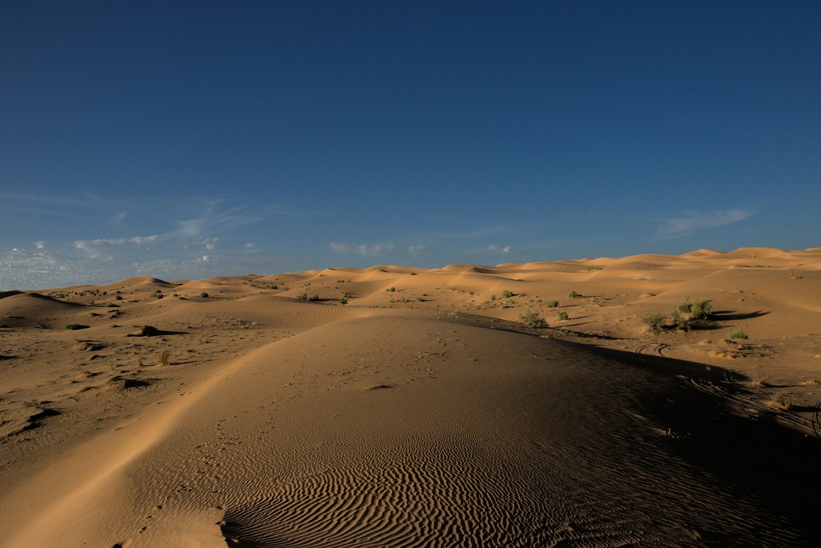 Tourists enjoying a traditional camel ride across rolling sand dunes—a highlight of sand landscapes exploration.