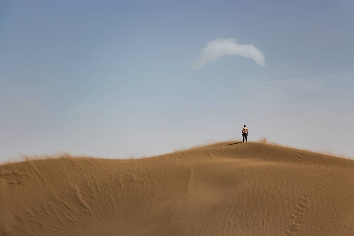 A caravan of camels walking across a sandy expanse at dawn