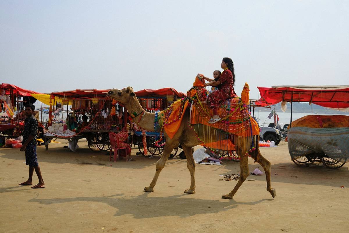 A family enjoying a camel ride together across the desert sands.