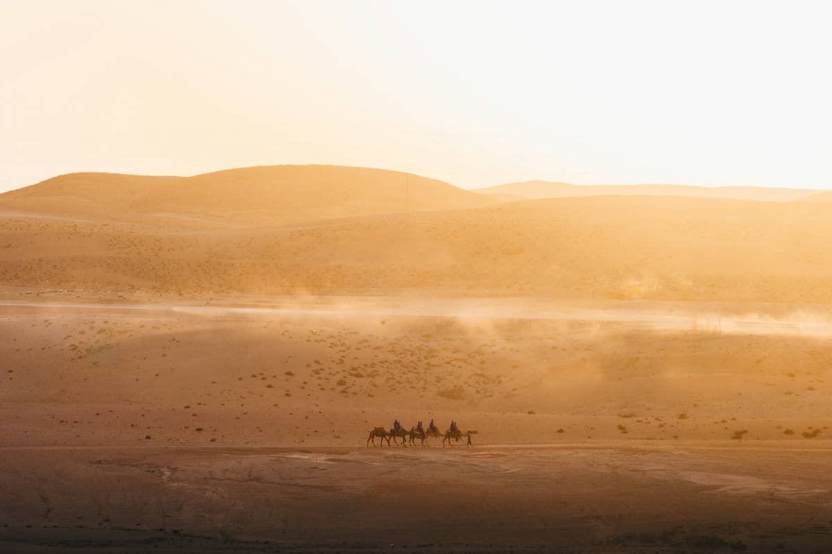 A scenic view of towering sand dunes under a blue sky