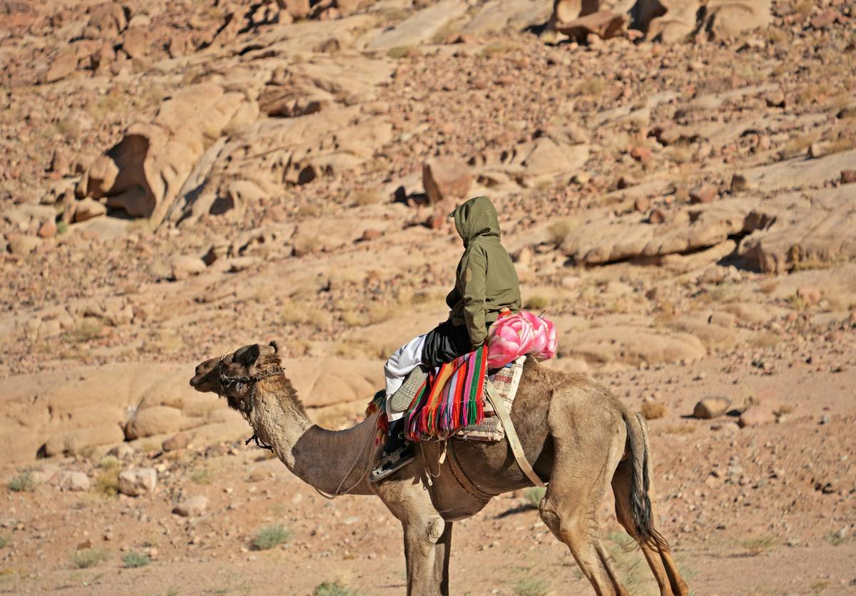 A vast expanse of golden sand dunes under a glowing sunset.