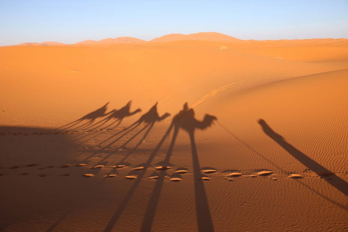 A vast golden desert landscape under a blue sky with rolling sand dunes