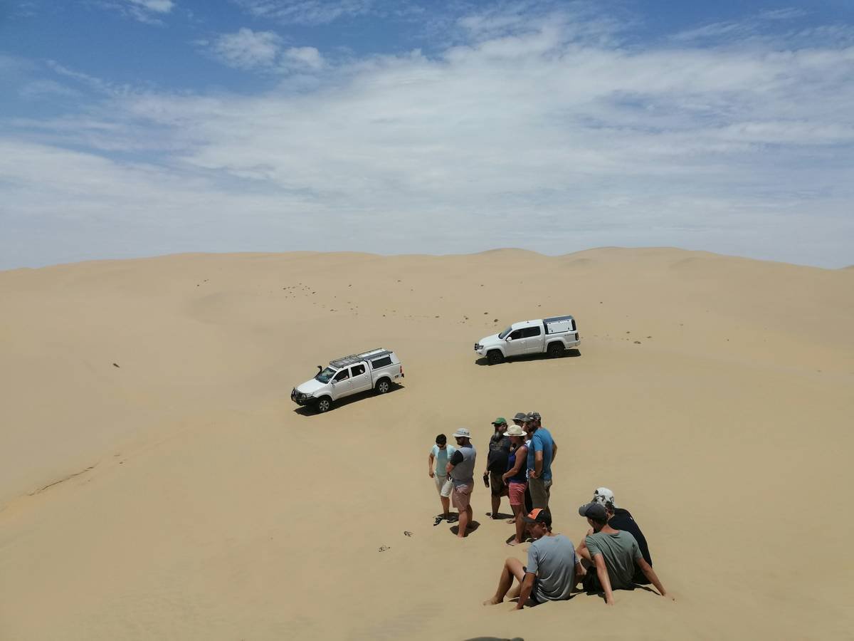 Group gathered around glowing campfire beneath starlit night in desert