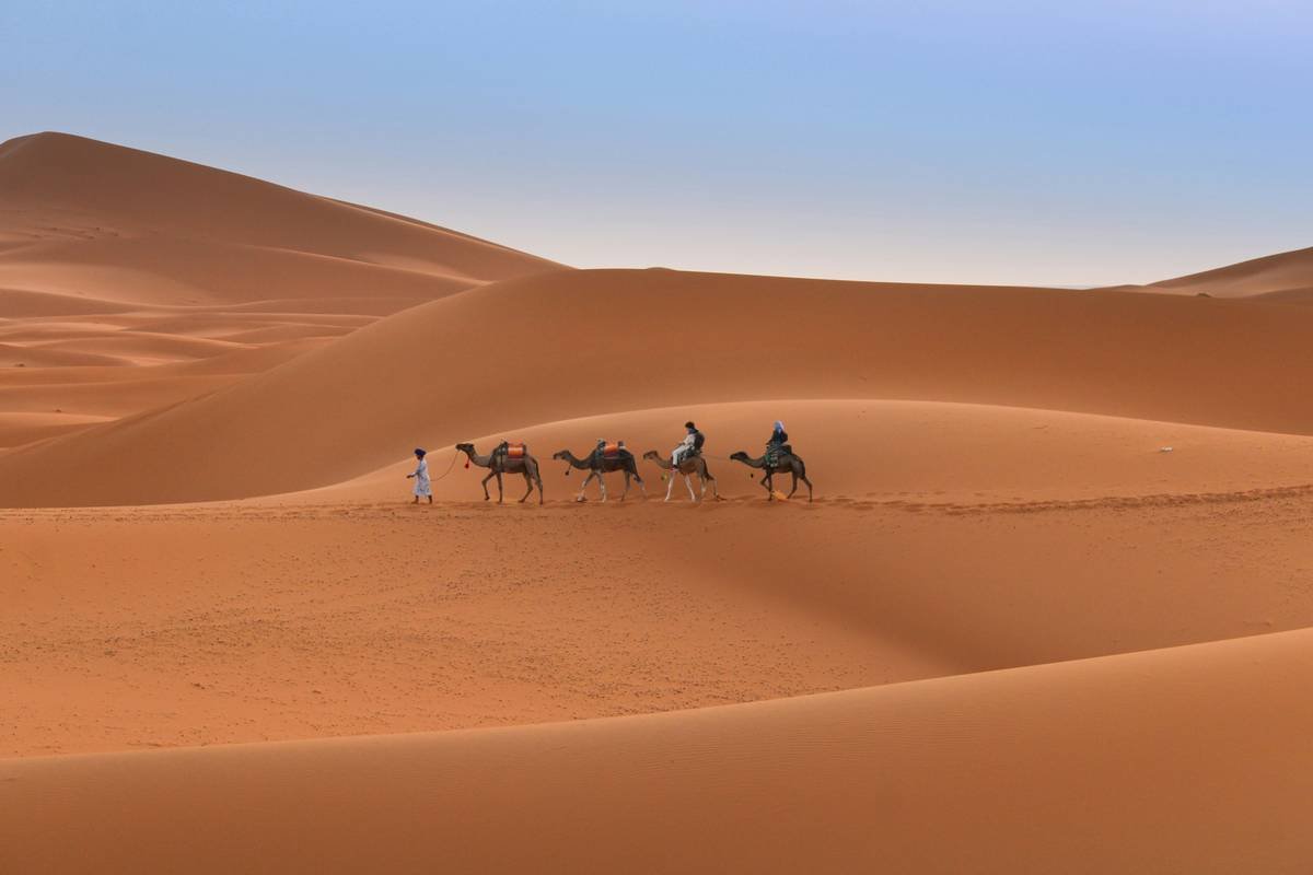 Stunning panorama of golden dunes meeting blue skies in the Sahara desert.
