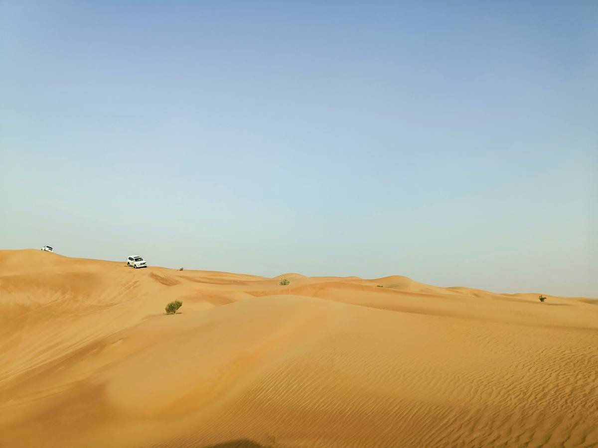 Viral photo showcasing stormy sand clouds behind a calm camel silhouette