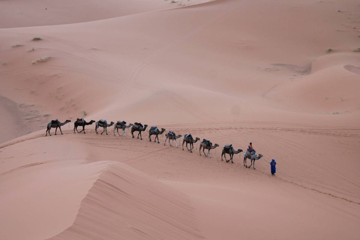 Sahara Immersion Tour: The Ultimate Guide to Desert Safaris
