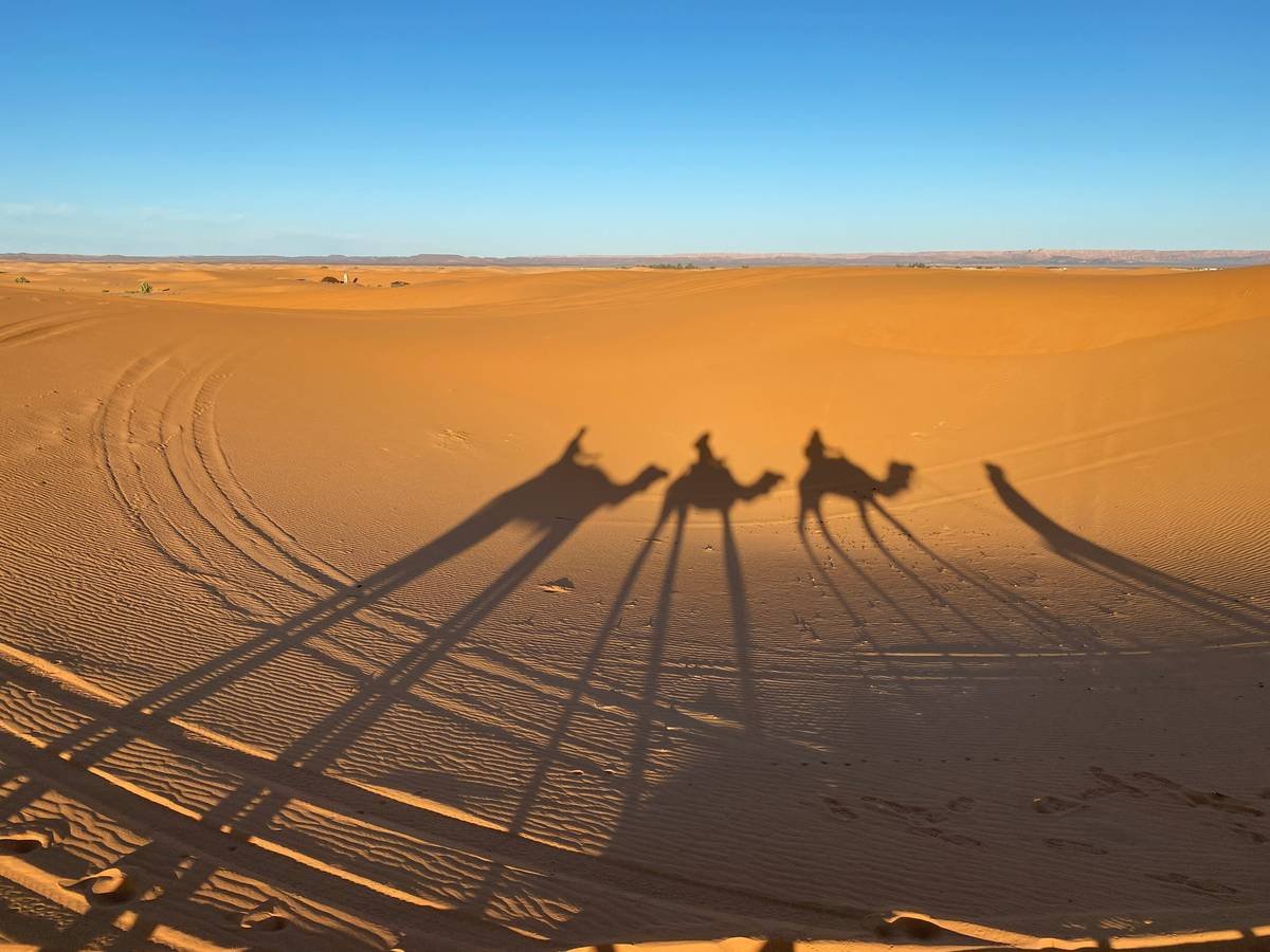 A family enjoying a camel ride in the Sahara Desert, with dunes stretching as far as the eye can see.