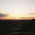 Embark on Unique Dune Experiences: Your Ultimate Guide to Desert Safaris