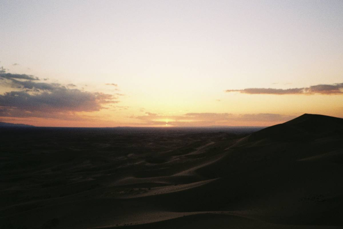 Embark on Unique Dune Experiences: Your Ultimate Guide to Desert Safaris