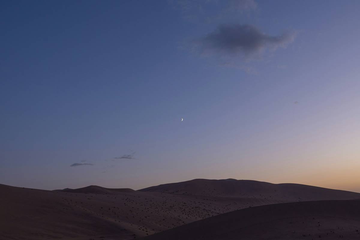 Why Your Night Dune Adventure Will Be the Highlight of Your Dubai Trip (And How to Nail It)