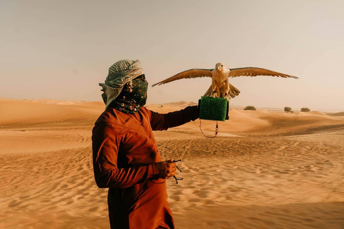 Photography Dune Adventure: How to Capture the Soul of the Desert Safaris