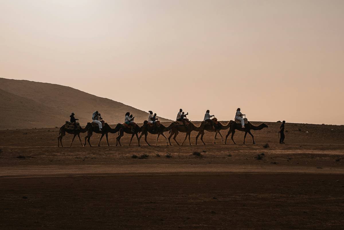 What Is Camel Safari? Your Ultimate Guide to Desert Adventures on the World’s Most Iconic Mount