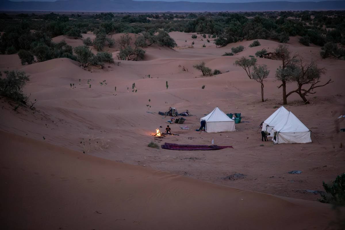Why Your Sahara Desert Tour Morocco Dream Fails (And How to Nail It Like a Local)